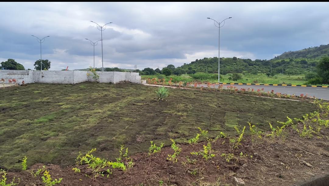 Landscape plantation samruddhi highway